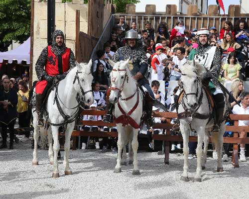 Cavaleiros de Ribadouro