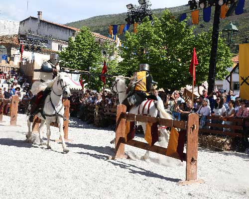 Cavaleiros de Ribadouro