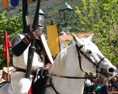 Cavaleiros de Ribadouro