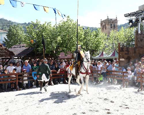 Cavaleiros de Ribadouro