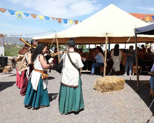 Lôa Trovadoresca